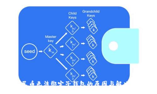 : 
数字人民币无法绑定子钱包的原因与解决方案解析