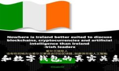 网赌和数字钱包的真实关