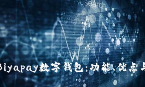 深入解析Biyapay数字钱包：功能、优点与用户体验